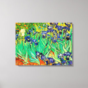 PixDezines van gogh irises/st. remy Canvas Print