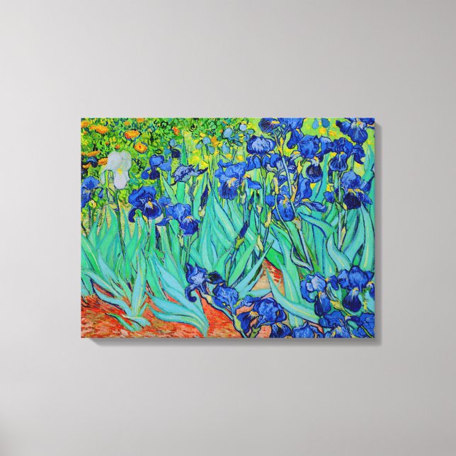 PixDezines van gogh irises/st. remy Canvas Print (Front)