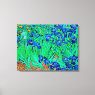 PixDezines van gogh irises/st. remy Canvas Print