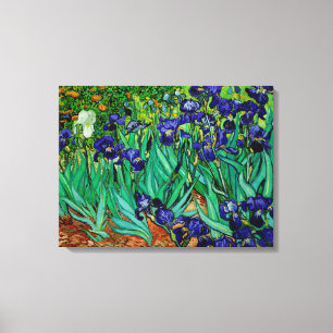 PixDezines van gogh irises/st. remy Canvas Print