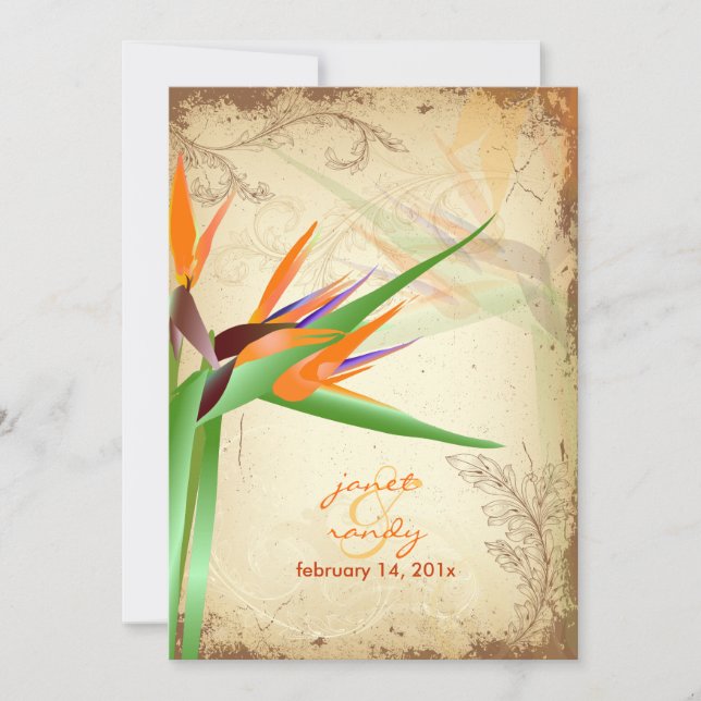 PixDezines VINTAGE BIRD OF PARADISE Invitation (Front)