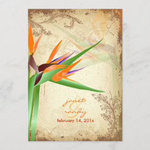 PixDezines VINTAGE BIRD OF PARADISE Invitation