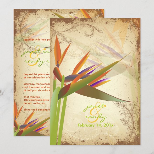 PixDezines VINTAGE BIRD OF PARADISE Invitation (Front/Back)