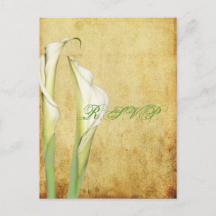 PixDezines Vintage Calla Lily Invitation Postcard