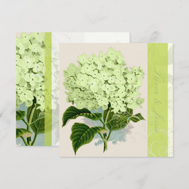 PixDezines vintage green hydrangea Invitation (Front/Back)