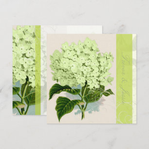 PixDezines vintage green hydrangea Invitation