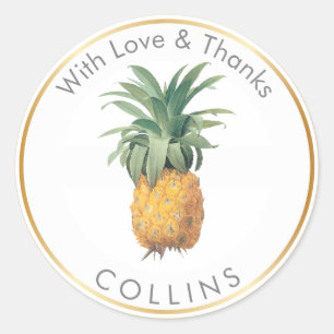 PixDezines Vintage Pineapple/DIY Thank You Classic Round Sticker