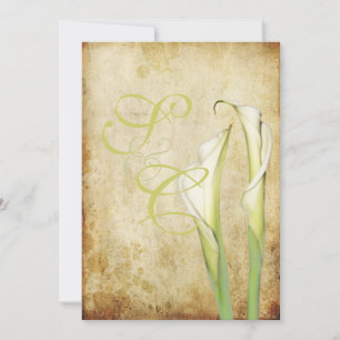 PixDezines Vintage White Calla lilies Invitation