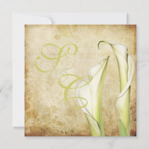 PixDezines Vintage White Calla lilies Invitation