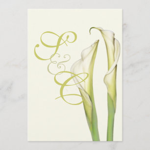 PixDezines white calla lilies/diy background Invitation