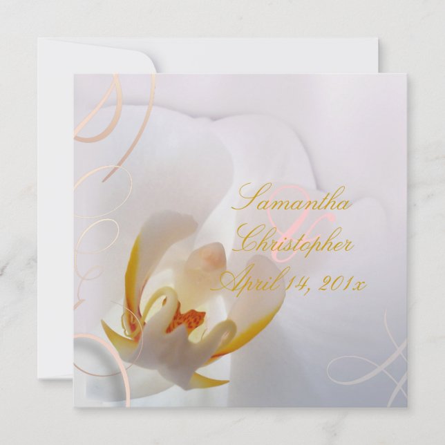 PixDezines White Orchid | Pale Pink + White Invitation (Front)