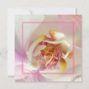 PixDezines White Orchid   Pale Pink + White Invitation