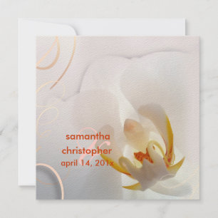 PixDezines White Orchid   Pale Pink + White Invitation