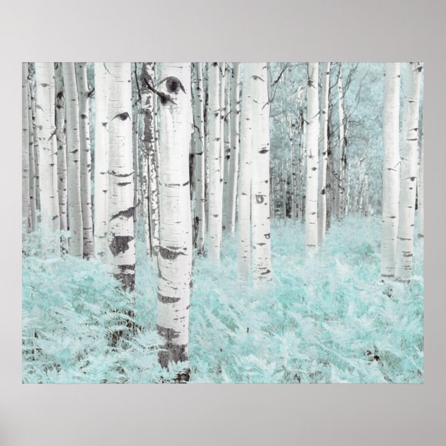 PixDezines Winter Birch Forest Blue Fern Bed Poster (Front)