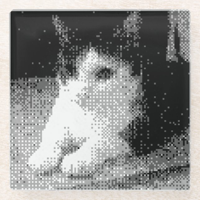 pixelated cat glass coaster (Front)