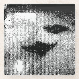 pixelated stingrays glass coaster