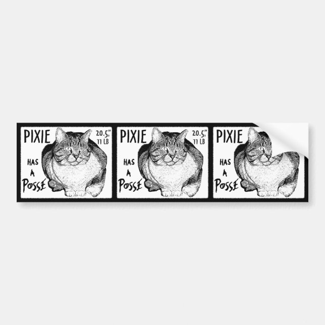 Pixie has a Posse Sticker Set (Front)