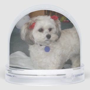 Pixie popper snow globe