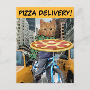 PIZZA DELIVERY! CAT NYC POSTCARDS