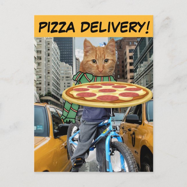 PIZZA DELIVERY! CAT POSTCARDS (Front)