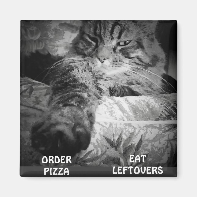 PIZZA OR LEFTOVERS? MAGNET (Front)
