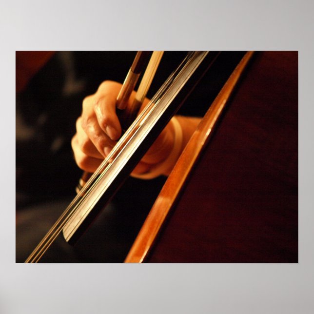 Pizzicato Poster (Front)