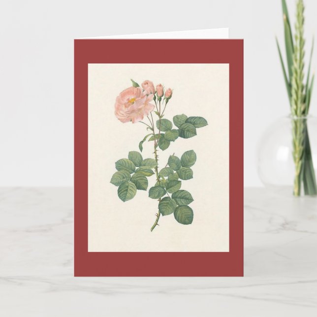 PJ Redoute - Rosa damascena aurora Card (Front)