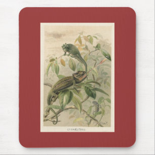 PJ Smith - Chameleons Mouse Mat