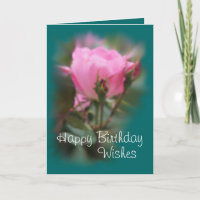 Pk KO Rose & buds on teal 2- any occasion