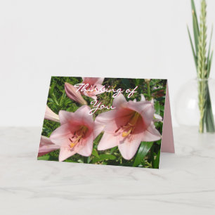 Pk Trumpet Lily #3- customise any occasion Card