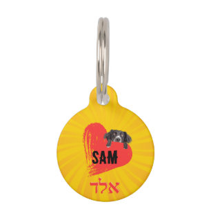 Placa para mascotas, Pequeña, ¨b'li ayin hara¨ Pet Tag