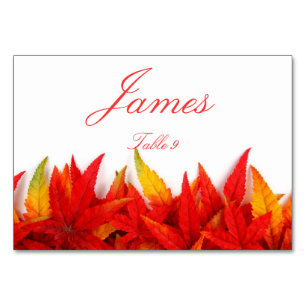 Place Cards With Fall Leaves
