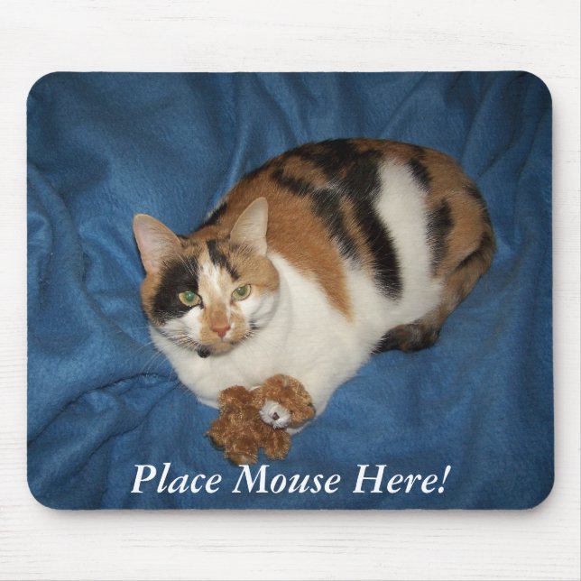 Place Mouse Here! Mat (Front)