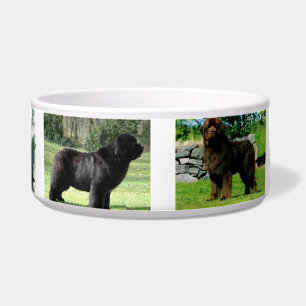 Place Your Image Here 6 image template Dog Bowl