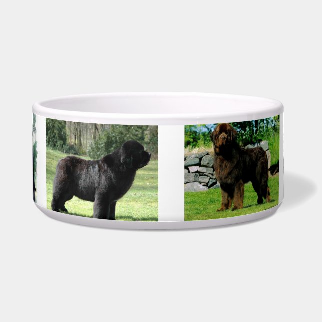 Place Your Image Here 6 image template Dog Bowl (Front)