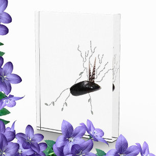 Placenta anatomy health science biology poem art photo block