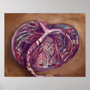 Placenta art poster - midwife office, doulas