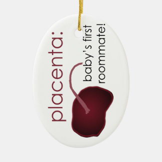 placenta, baby's first roommate ceramic tree decoration