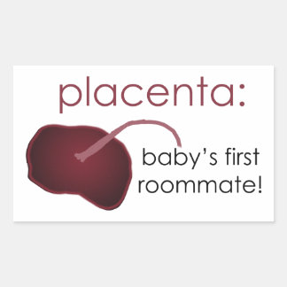 Placenta stickers