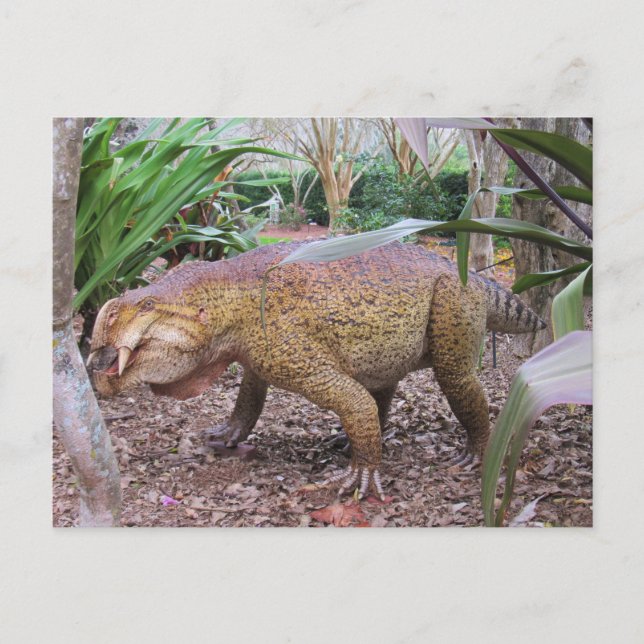 Placerias - * Dinosaur - Learning Card (Front)