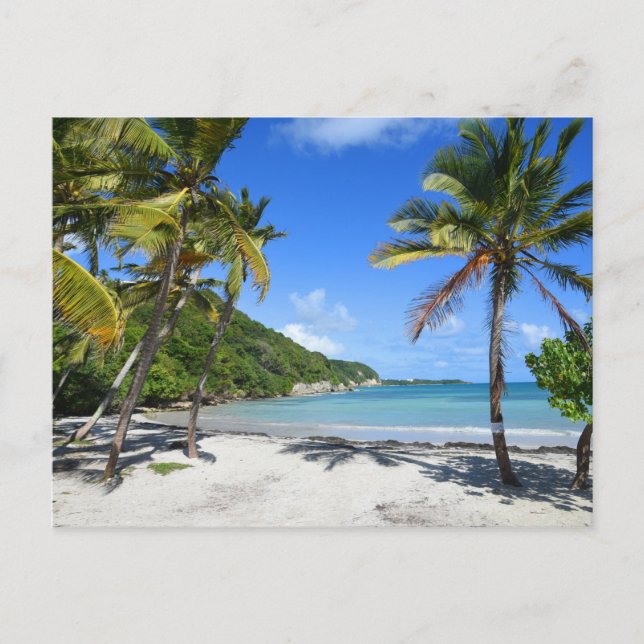 plage de guadeloupe postcard (Front)