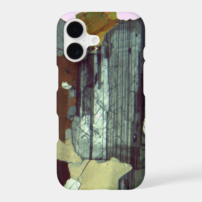 Plagioclase in Thin Section- Igneous Rock Texture (Back)