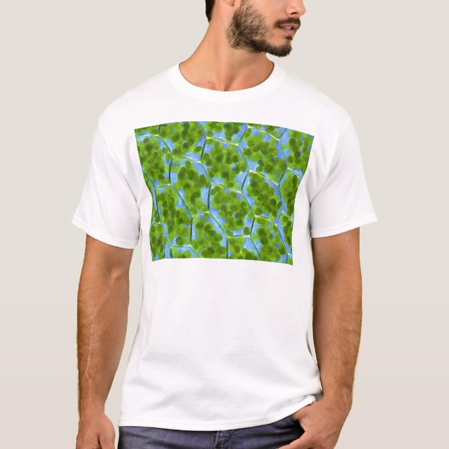 Plagiomnium Affine Plant Cells with Chloroplasts T-Shirt (Front)