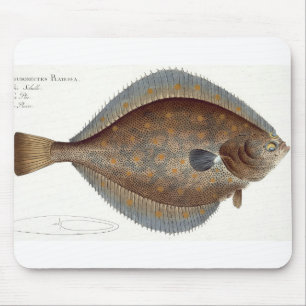 Plaice (Pleuronectes Platessa) plate XLII from 'Ic Mouse Mat