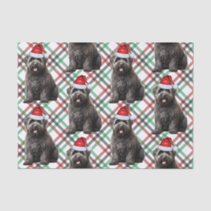 Plaid and Christmas Bouvier Dog Lover Holiday Tissue Paper