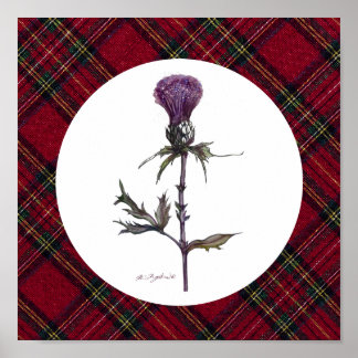 plaid and thistle poster