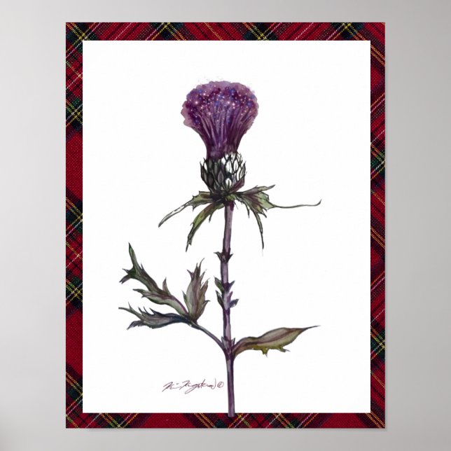 plaid and thistle poster (Front)