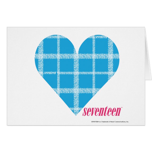 Plaid Aqua 2 (Front Horizontal)