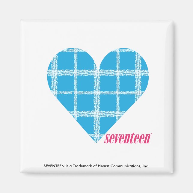 Plaid Aqua 2 Magnet (Front)