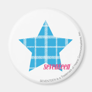 Plaid Aqua 3 Magnet